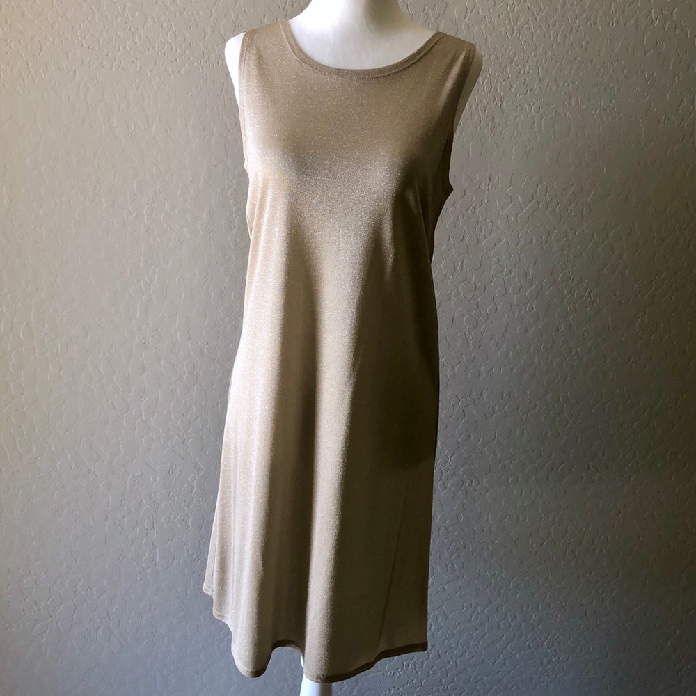 Vintage Express Shift Dress Size Small Champagne